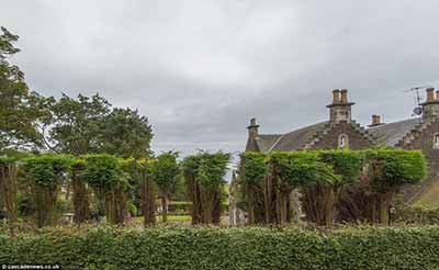 اخبار,اخبار گوناگون,فضای سبز بزرگی  درمنزلی دراسکاتلند