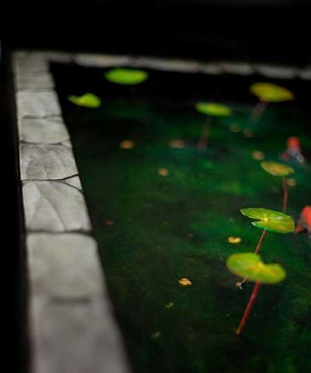 اخبار,اخبار گوناگون,نقاشی های سه بعدی