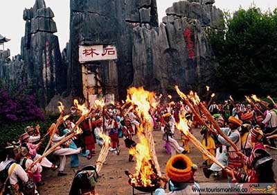 اخبار,اخبار  گوناگون ,جنگل سنگی 