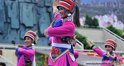 اخبار,اخبار  گوناگون ,جنگل سنگی 