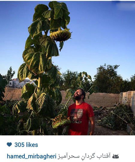 اخبار,اخبارفرهنگی , عکس های بازیگران 