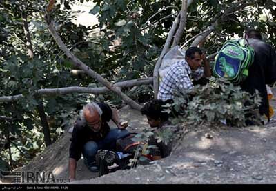 اخبار,اخباراجتماعی ,کارتون خواب های دره فرحزاد