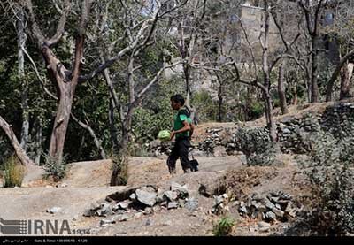 اخبار,اخباراجتماعی ,کارتون خواب های دره فرحزاد