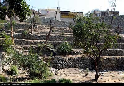 اخبار,اخباراجتماعی ,کارتون خواب های دره فرحزاد