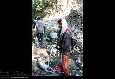 اخبار,اخباراجتماعی ,کارتون خواب های دره فرحزاد