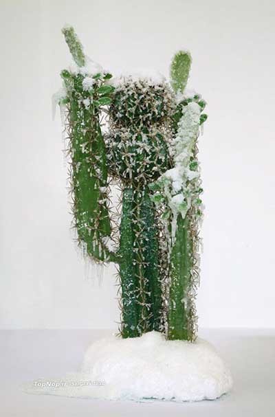 اخبار,اخبارگوناگون , مجسمه مرد برفی اخبار,اخبارگوناگون , مجسمه مرد برفی