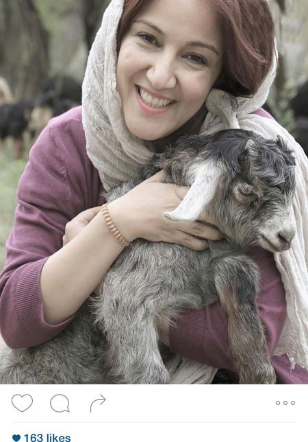 اخبار,اخبارفرهنگی , عکس های بازیگران 