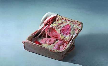 اخبار,اخبار گوناگون ,آثار هنری  مشمئز کننده‌