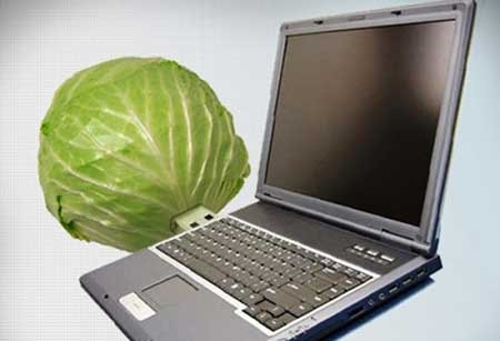 اخبار,اخبار گوناگون ,جذاب ترین فلش مموری های دنیا