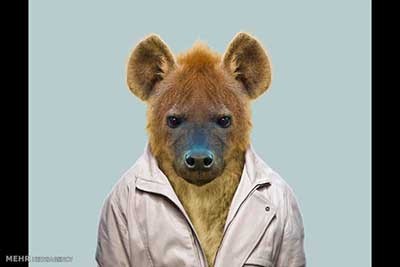 اخبار,اخبارگوناگون  , عکس پرسنلیِ حیواناتِ خوشتیپ 