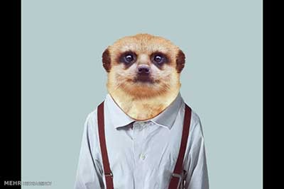 اخبار,اخبارگوناگون  , عکس پرسنلیِ حیواناتِ خوشتیپ 