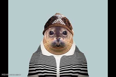 اخبار,اخبارگوناگون  , عکس پرسنلیِ حیواناتِ خوشتیپ 