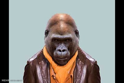 اخبار,اخبارگوناگون  , عکس پرسنلیِ حیواناتِ خوشتیپ 