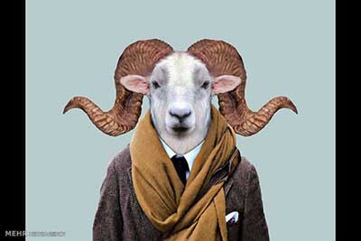 اخبار,اخبارگوناگون  , عکس پرسنلیِ حیواناتِ خوشتیپ 