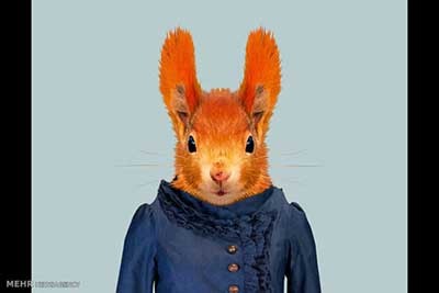 اخبار,اخبارگوناگون  , عکس پرسنلیِ حیواناتِ خوشتیپ 