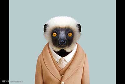 اخبار,اخبارگوناگون  , عکس پرسنلیِ حیواناتِ خوشتیپ 