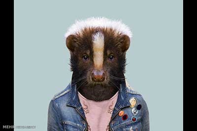 اخبار,اخبارگوناگون  , عکس پرسنلیِ حیواناتِ خوشتیپ 