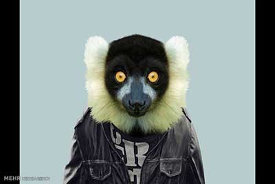 اخبار,اخبارگوناگون  , عکس پرسنلیِ حیواناتِ خوشتیپ 