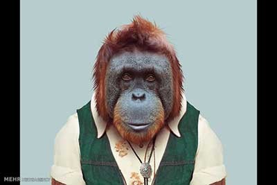 اخبار,اخبارگوناگون  , عکس پرسنلیِ حیواناتِ خوشتیپ 