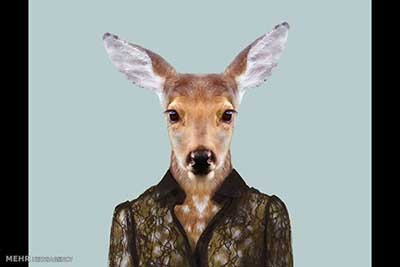 اخبار,اخبارگوناگون  , عکس پرسنلیِ حیواناتِ خوشتیپ 