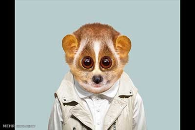 اخبار,اخبارگوناگون  , عکس پرسنلیِ حیواناتِ خوشتیپ 