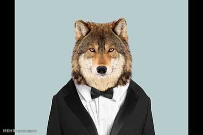 اخبار,اخبارگوناگون  , عکس پرسنلیِ حیواناتِ خوشتیپ 