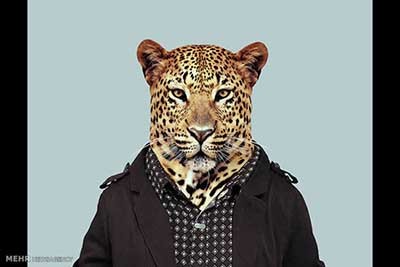 اخبار,اخبارگوناگون  , عکس پرسنلیِ حیواناتِ خوشتیپ 