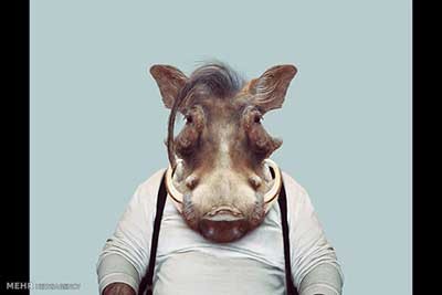 اخبار,اخبارگوناگون  , عکس پرسنلیِ حیواناتِ خوشتیپ 