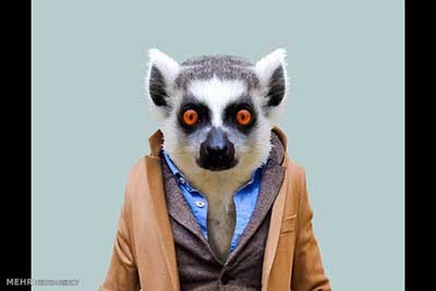 اخبار,اخبارگوناگون  , عکس پرسنلیِ حیواناتِ خوشتیپ 