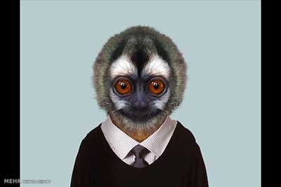 اخبار,اخبارگوناگون  , عکس پرسنلیِ حیواناتِ خوشتیپ 