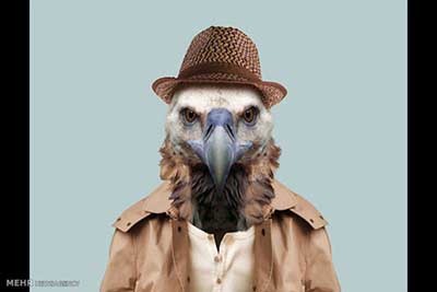 اخبار,اخبارگوناگون  , عکس پرسنلیِ حیواناتِ خوشتیپ 