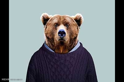 اخبار,اخبارگوناگون  , عکس پرسنلیِ حیواناتِ خوشتیپ 