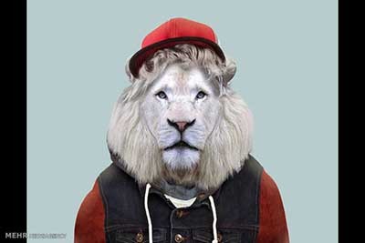 اخبار,اخبارگوناگون  , عکس پرسنلیِ حیواناتِ خوشتیپ 