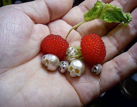 اخبار,اخبار گوناگون,جواهرات با جمجمه های مرواریدی