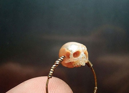 اخبار,اخبار گوناگون,جواهرات با جمجمه های مرواریدی