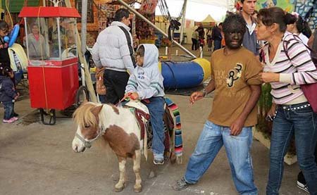 اخبار,اخبار گوناگون,پرمو ترین خانواده جهان‎