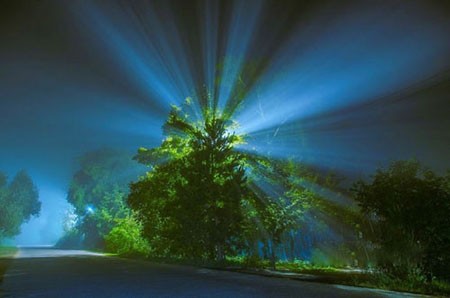 اخبار,اخبار فرهنگی, عکاسی مینیمالیستی بسیار زیبا