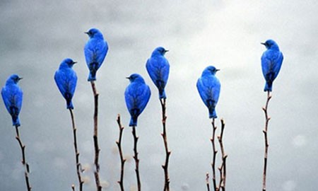 اخبار,اخبار فرهنگی, عکاسی مینیمالیستی بسیار زیبا