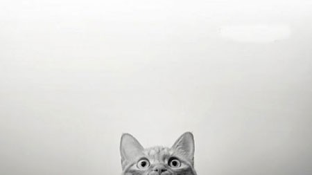 اخبار,اخبار فرهنگی, عکاسی مینیمالیستی بسیار زیبا