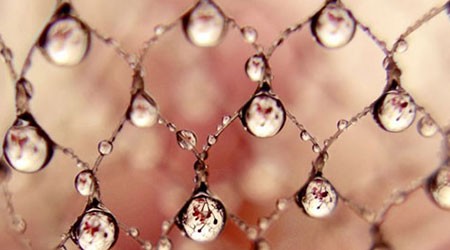 اخبار,اخبار فرهنگی, عکاسی مینیمالیستی بسیار زیبا