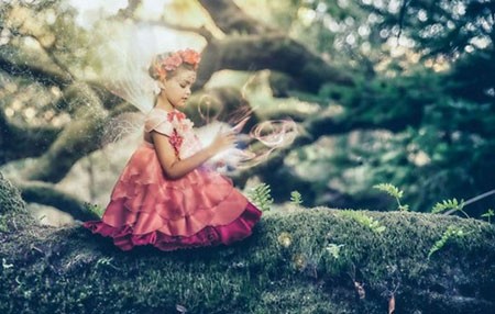 اخبار,اخبار گوناگون,عکاسی,عکاسی کردن