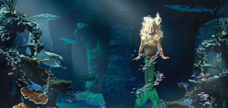 اخبار,اخبار گوناگون,عکاسی,عکاسی کردن