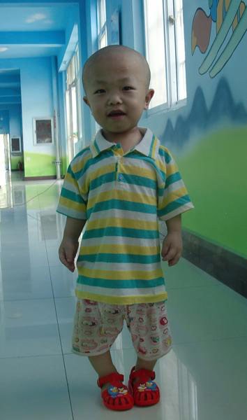 اخبار , اخبار گوناگون,اقدام جالب زوج کوتاه قد,تصاویری از زوج کوتاه قد