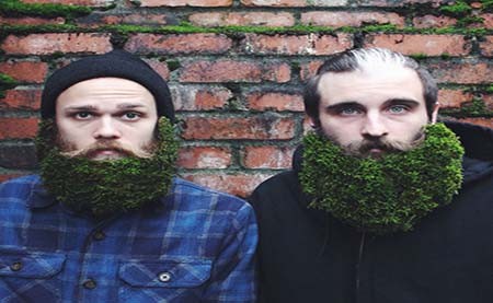 اخبار , اخبار گوناگون,عجیب ترین مدل آرایش ریش,تصاویر عجیب ترین مدل آرایش ریش