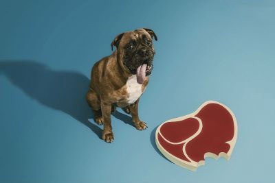 اخبار , اخبار گوناگون,کاردستی های خارق العاده کاغذی,تصاویر کاردستی های خارق العاده کاغذی