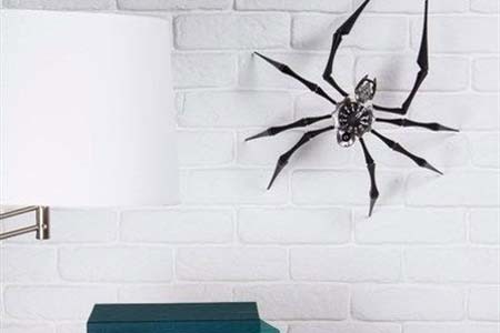 اخبار , اخبار گوناگون,ساعت عنکبوتی,ساخت ساعت عنکبوتی