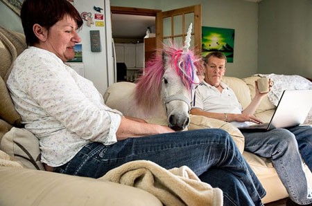 اخبار , اخبار گوناگون,اسب تک شاخ,تصاویر اسب تک شاخ