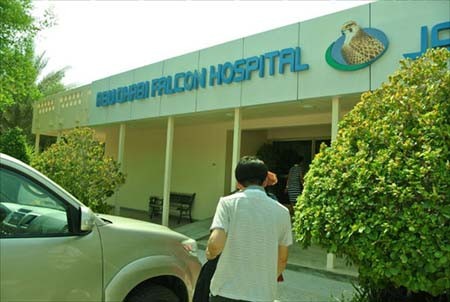 اخبار , اخبار گوناگون,تصاویر بیمارستان شاهین,بیمارستان شاهین در ابوظبی