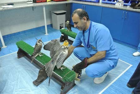 اخبار , اخبار گوناگون,تصاویر بیمارستان شاهین,بیمارستان شاهین در ابوظبی