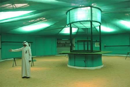 اخبار , اخبار گوناگون,تصاویر بیمارستان شاهین,بیمارستان شاهین در ابوظبی